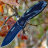 Складной полуавтоматический нож Kershaw Blur Camo 1670CAMO - Складной полуавтоматический нож Kershaw Blur Camo 1670CAMO